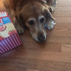 Meet your Posher, Jessica